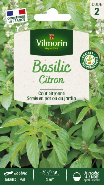 Aromatiques - Basilic Citron - PACKAGING_RECTO
